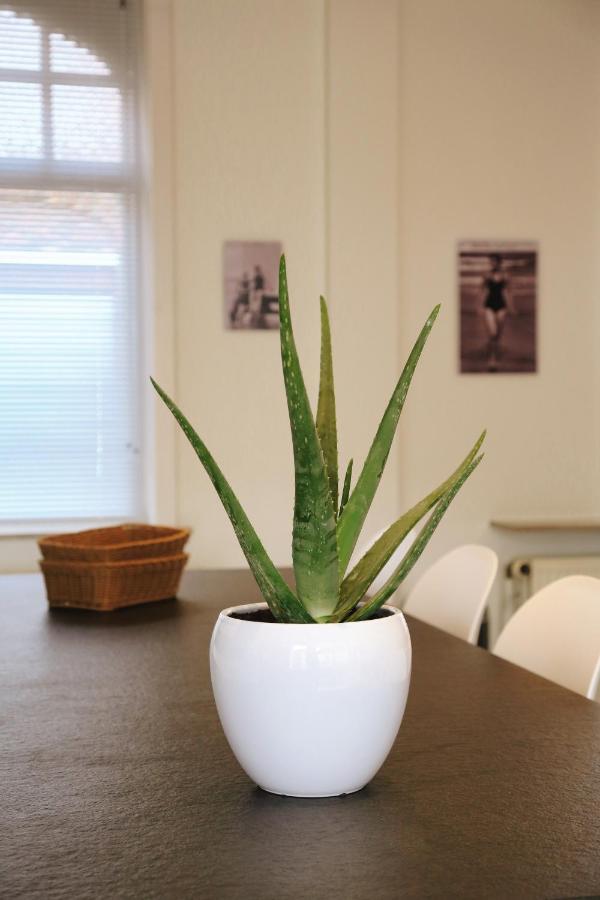 Vakantiewoning Villa Elena Nieuwpoort Bagian luar foto